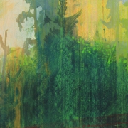 Wildwood 3, acrylic on paper 46 x 61 cm POA